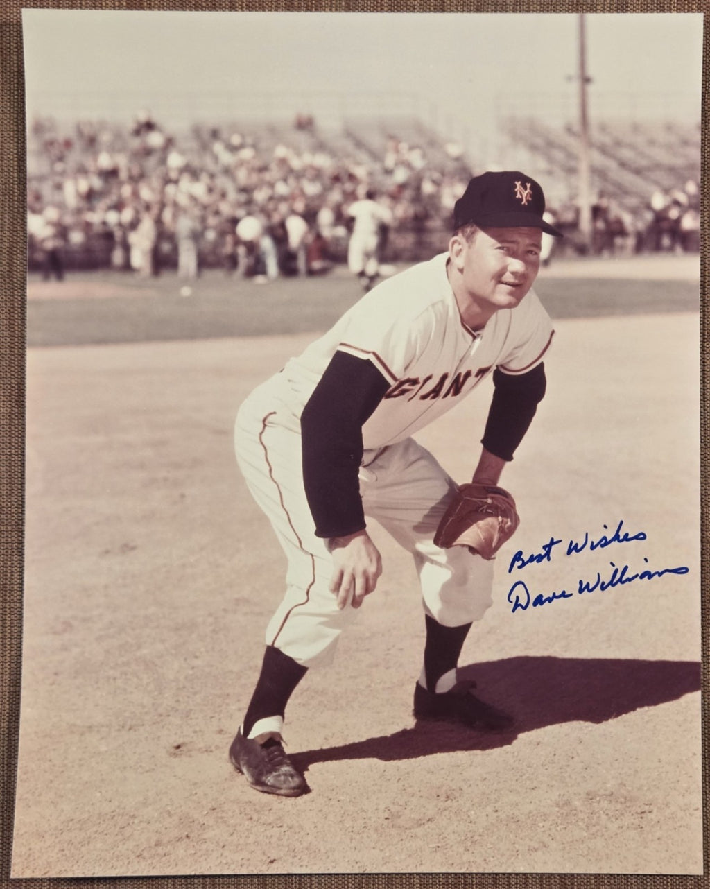 Dave Williams AUTO New York Giants Original Baseball Signed 8 x 10 Photo JSA0