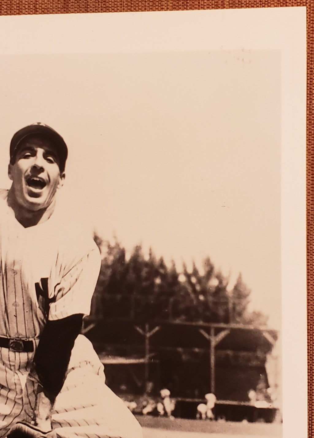 Phil Rizzuto Auto New York Yankees Vintage Original Baseball 8x10 Photo JSA2