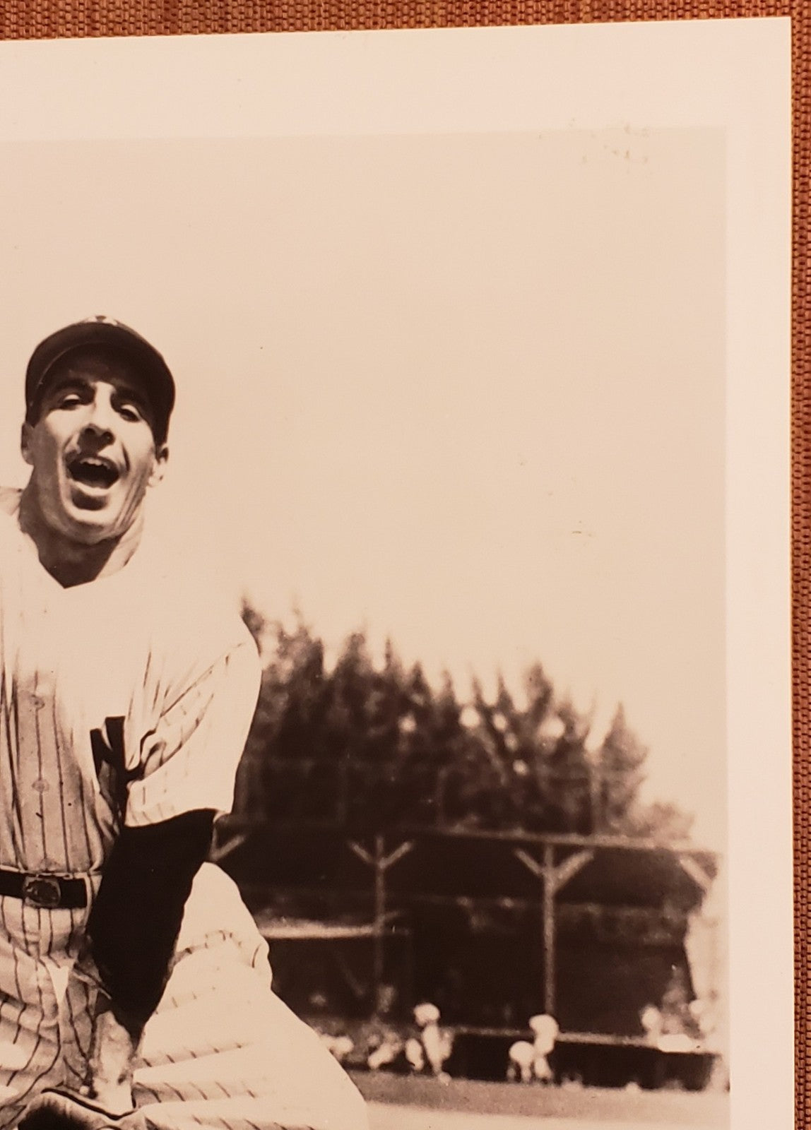 Phil Rizzuto Auto New York Yankees Vintage Original Baseball 8x10 Photo JSA2