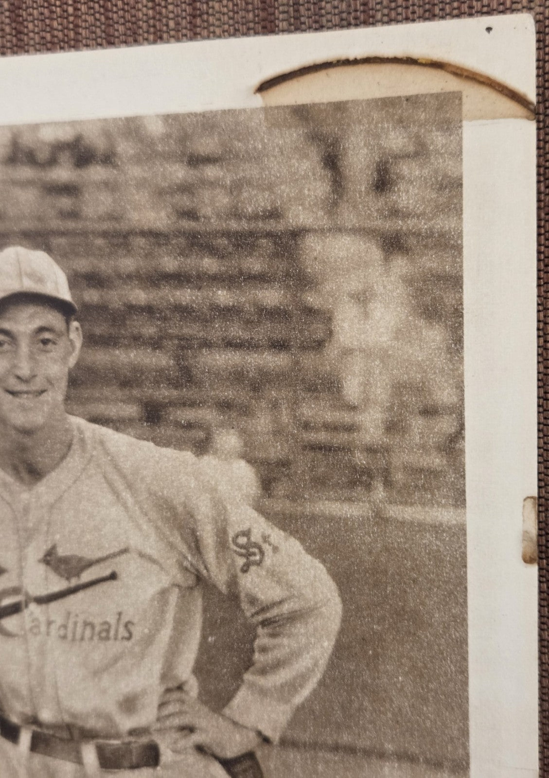 1931 Metropolitan Studios Charlie Gelbert St. Louis Cardinals Baseball Card2