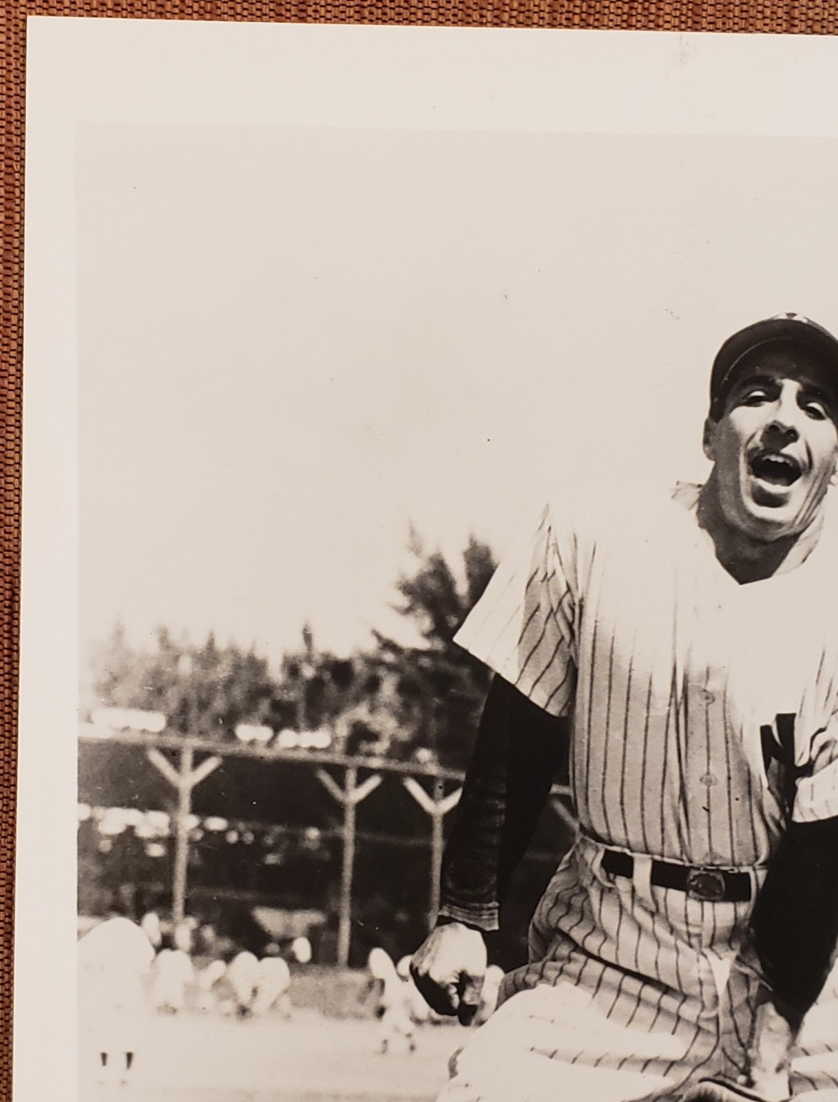 Phil Rizzuto Auto New York Yankees Vintage Original Baseball 8x10 Photo JSA1